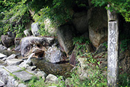 山比古湧水の写真