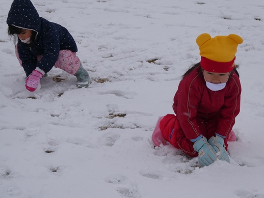 雪集め