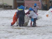 青い帽子をかぶった園児が雪だるまをつくろうとしているところをうつした写真