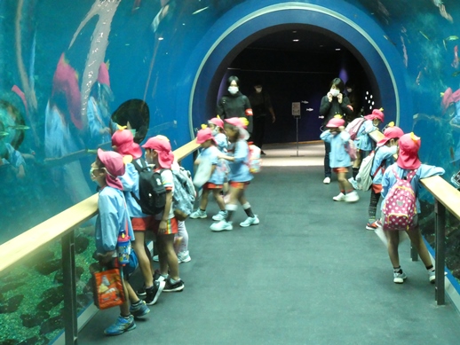 水族館見学