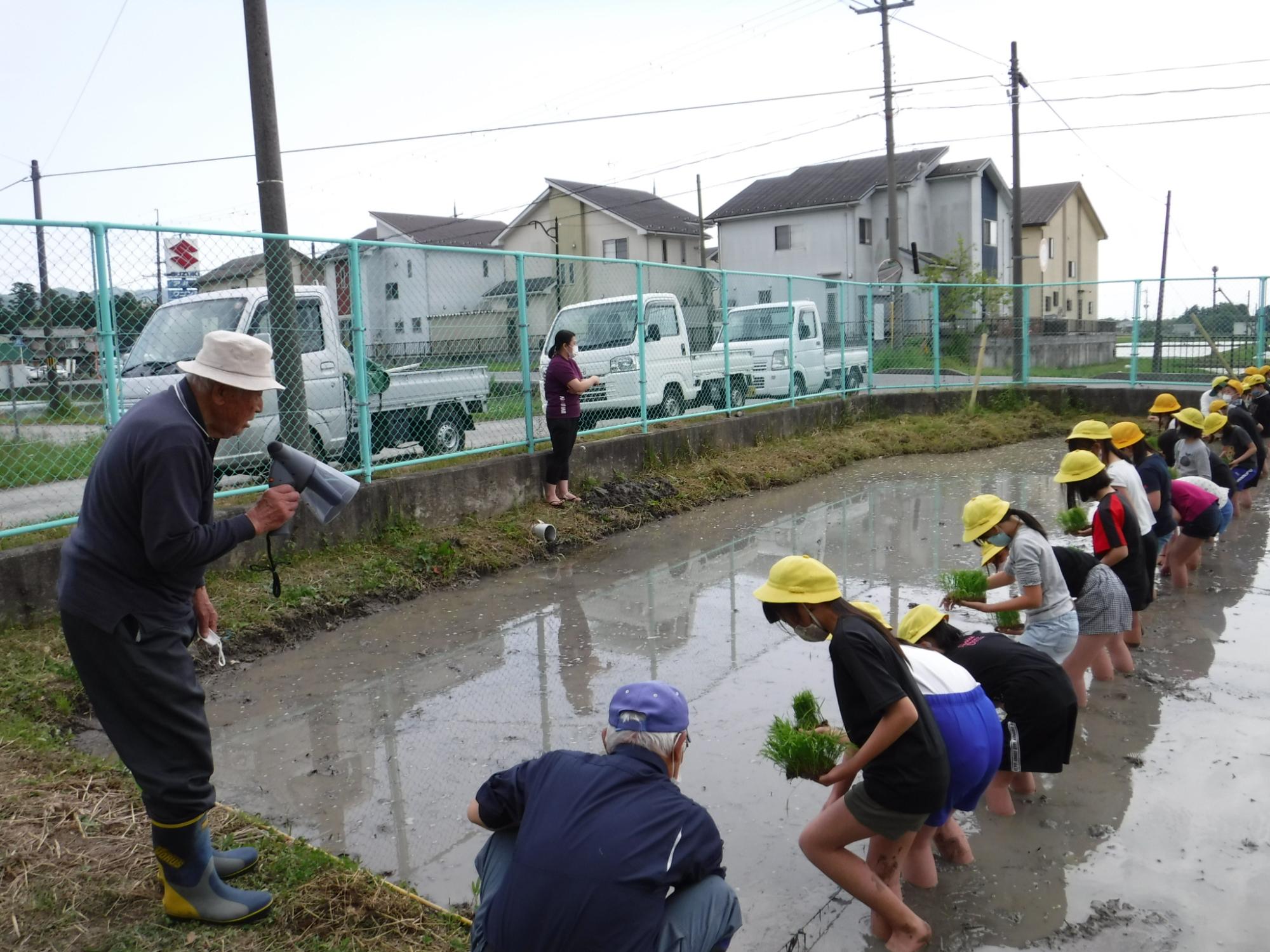 taue1