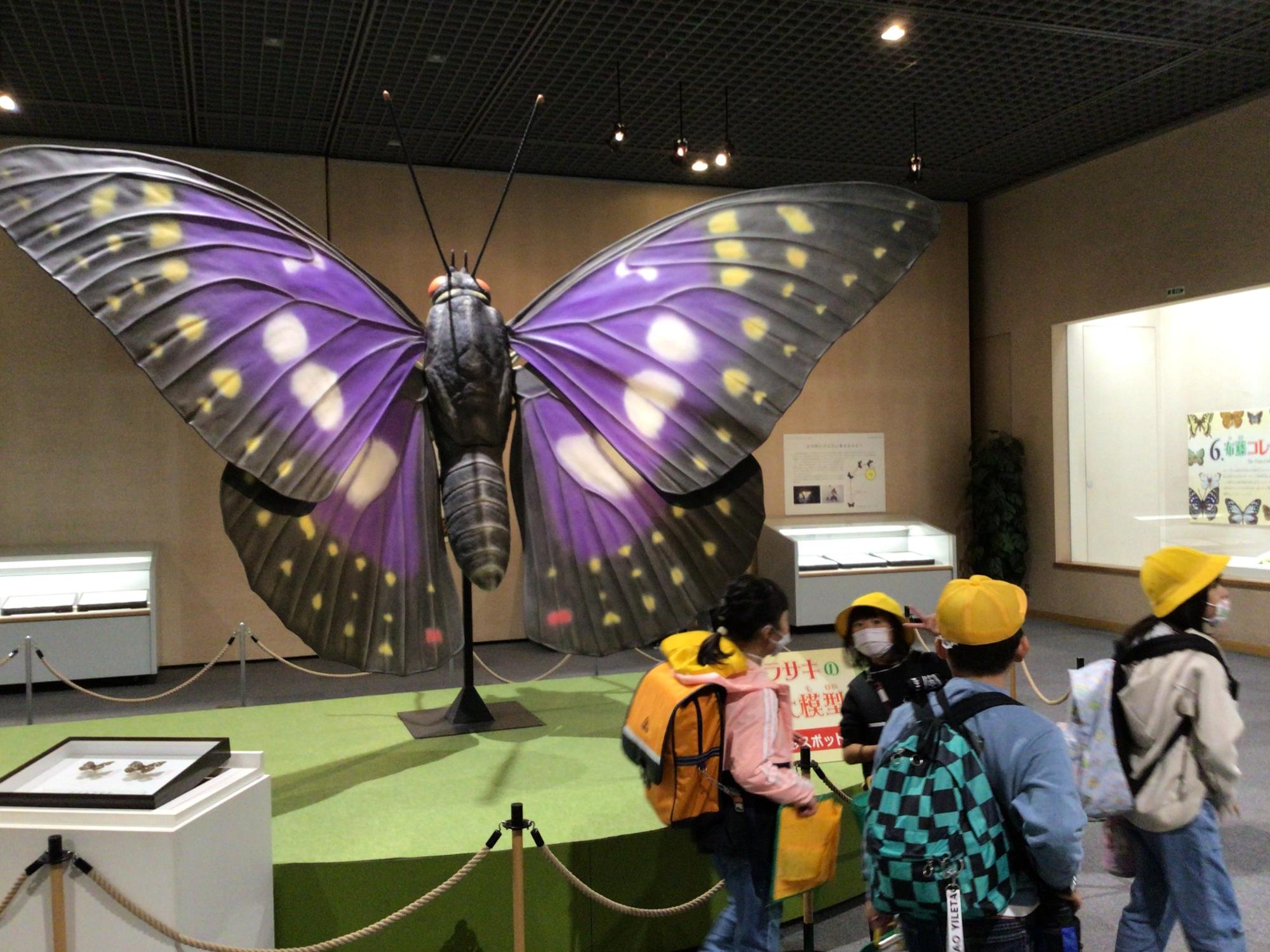 怖ぐらい大きな蝶の模型