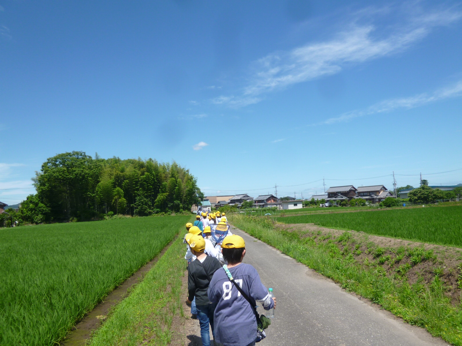 まっすぐな一本道を歩く子どもたち