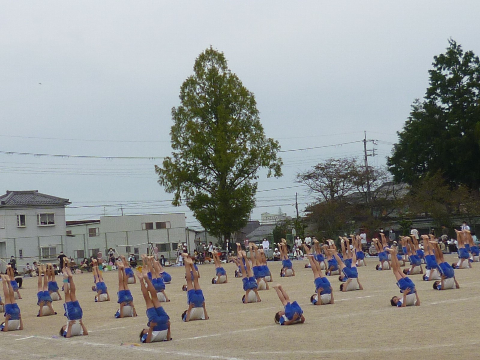 高学年団体演技　肩倒立