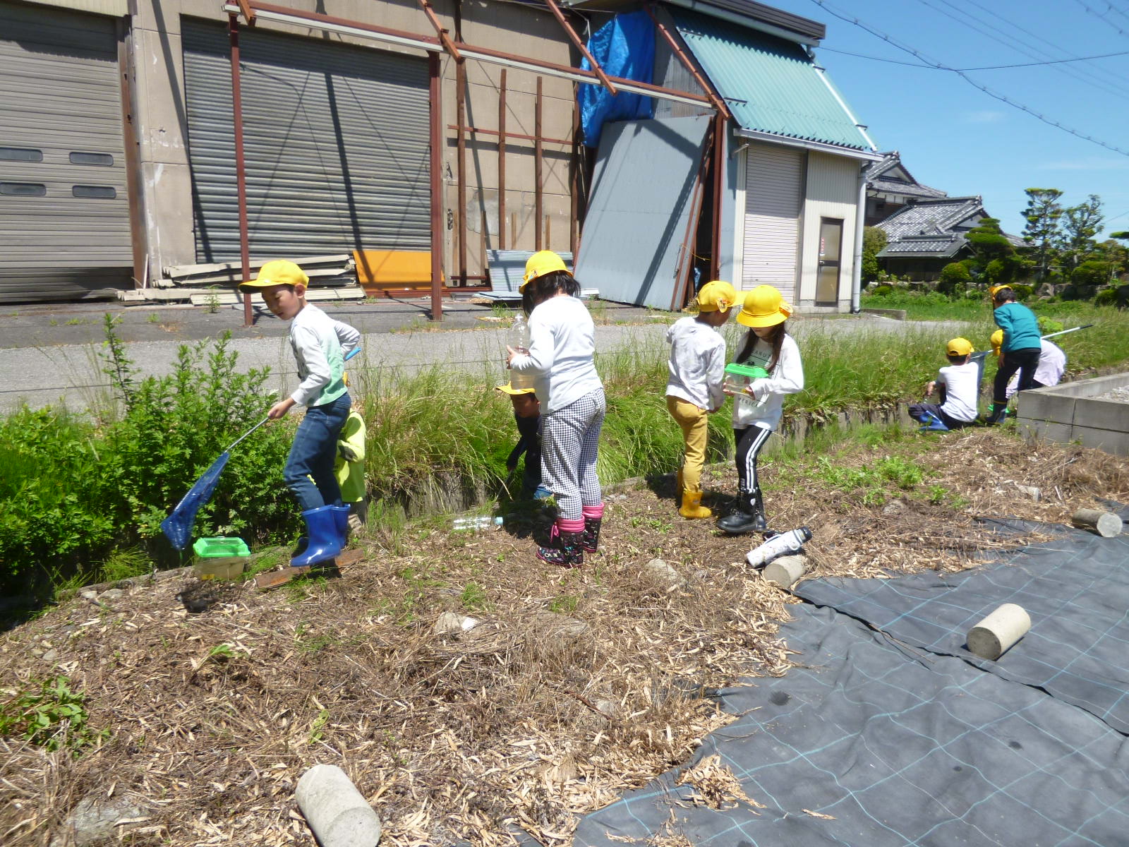 川で何がとれるかな？ザリガニはいるかな？