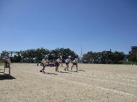 cu1