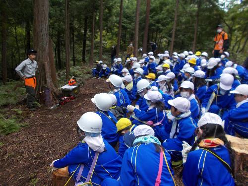 森づくり見学