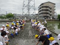 taue1