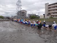 taue2