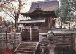 本殿の両脇に木々が立つ桧皮葺が特徴の八幡神社本殿の写真
