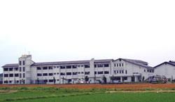 青々と育った稲の奥に白い外壁の横長で大きな秦荘東小学校の写真