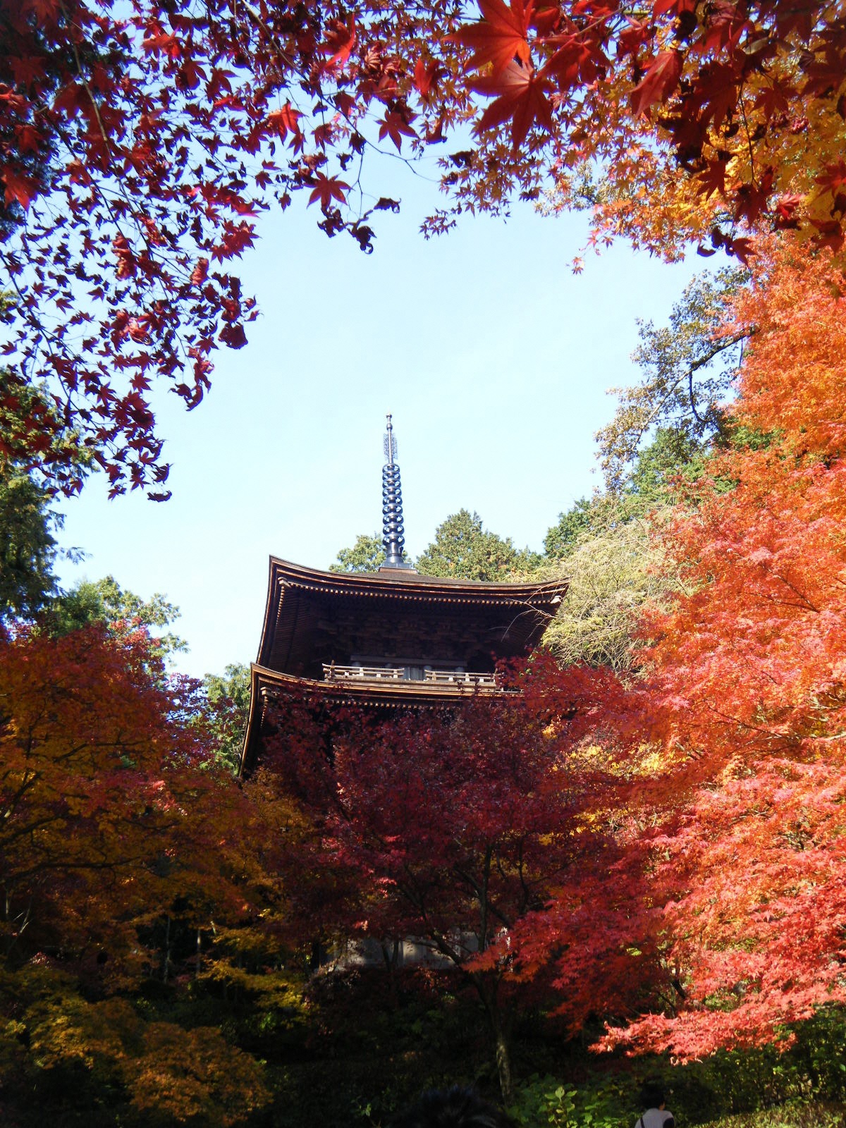 金剛輪寺三重塔