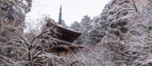 雪景色