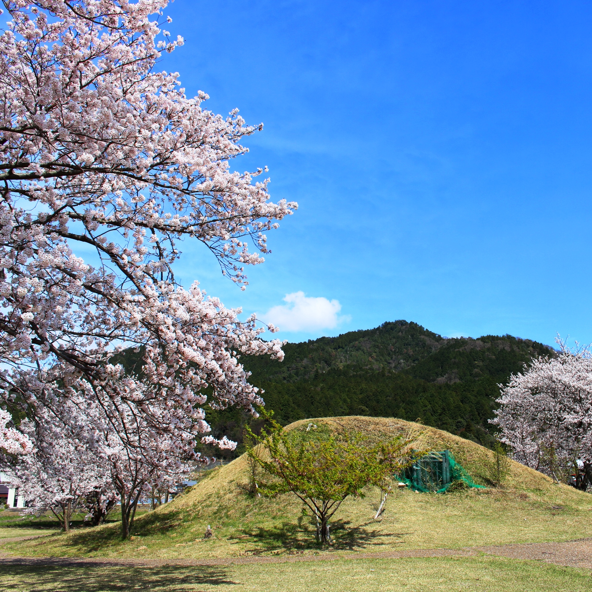 古墳公園