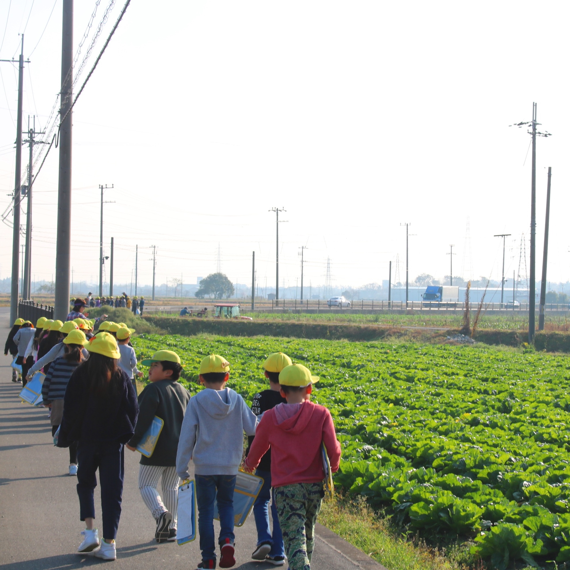 くもよん農園見学