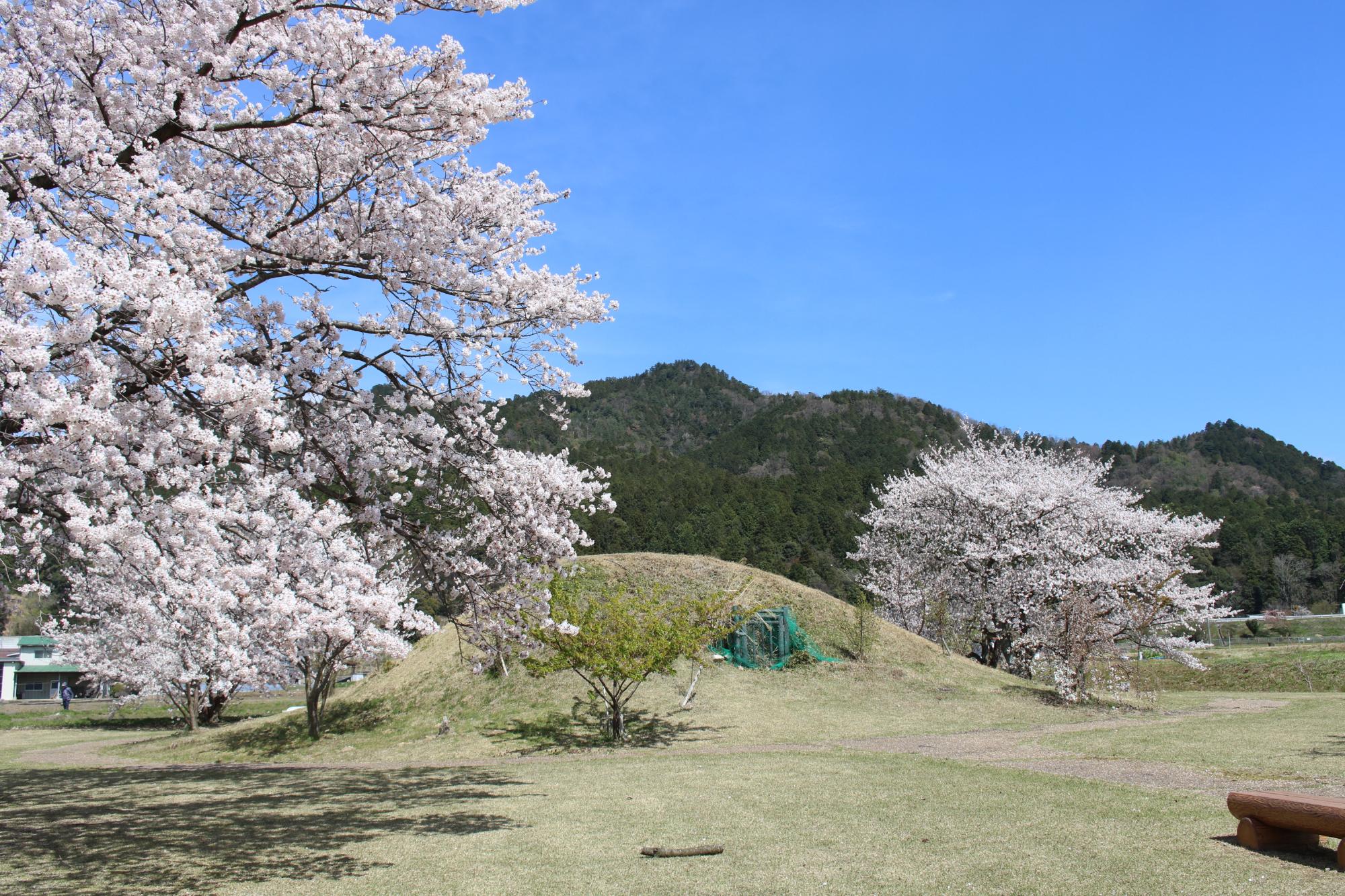 古墳公園01